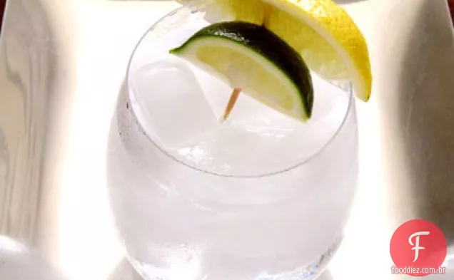 Gin e tônico