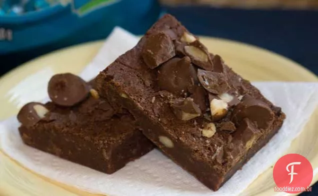 Chocolate Ao Leite Macadâmia Nut Brownies