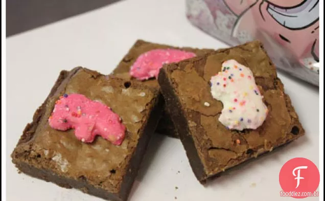Animais De Circo Brownies