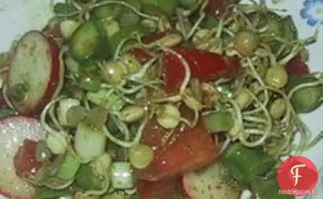 Salada De Lentilha Germinada