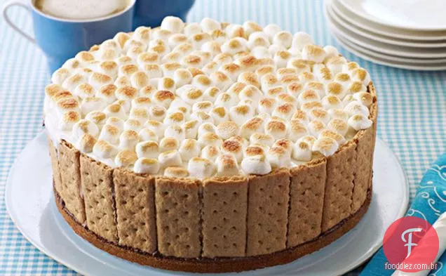 S'mores Ice Cream Cake