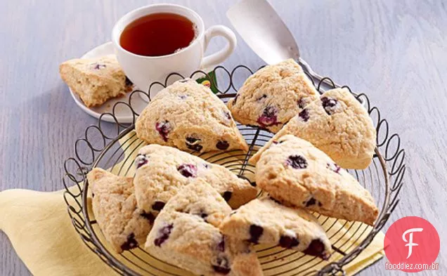 Blueberry-Chocolate Branco Bloco De Bolinhos
