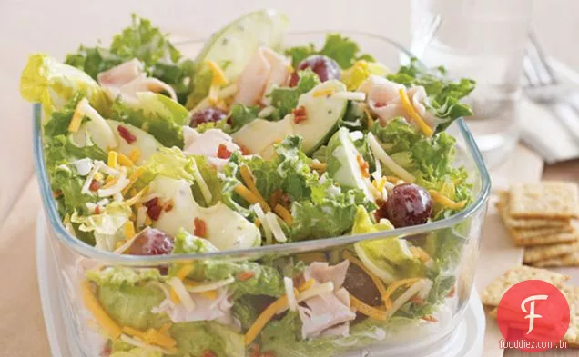 Salada de colheita para ir