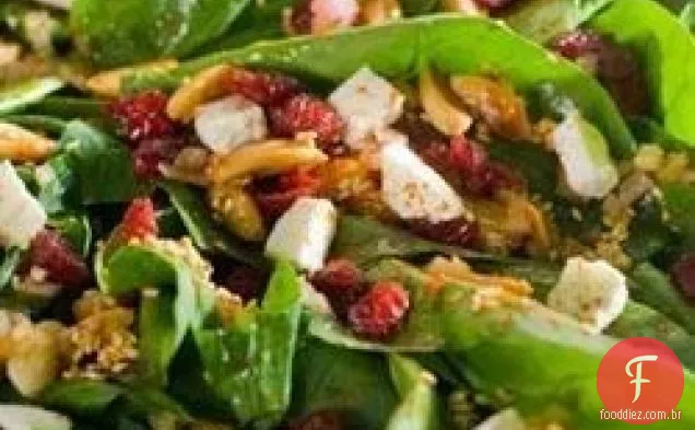 Salada da colheita de oikos®