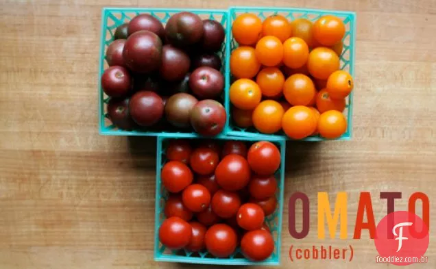 Sapateiro Tomate