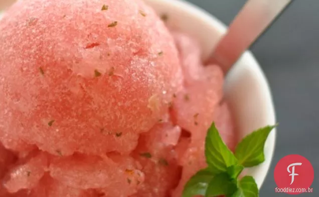 Melancia Hortelã Sorbet