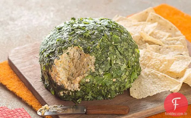 Tex-Mex Jalapeno Cheese Ball