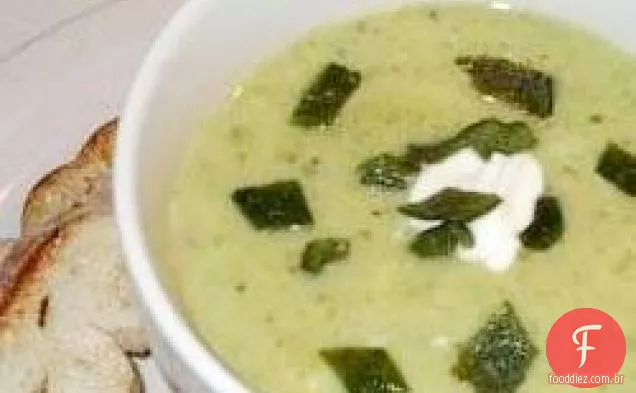 Poblano Chile Pepper Soup