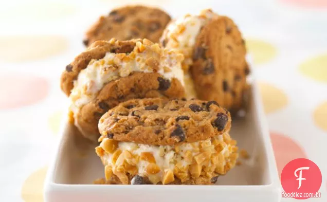 Chocolate Chip Ice Cream Sandwich
