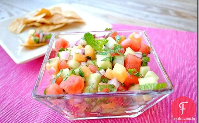 Mojito Melon Salsa