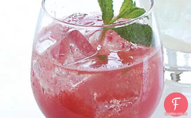 Melancia Gin Punch