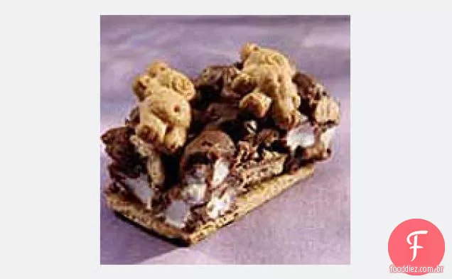 Teddy quer s'mores