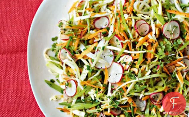Verão Coleslaw