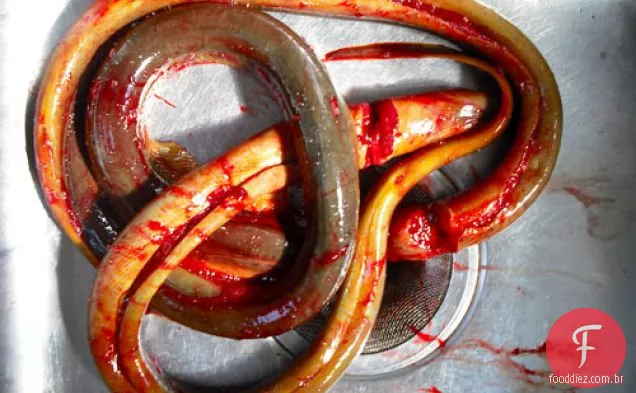 Os Bits desagradáveis: enguia dashi-simmered