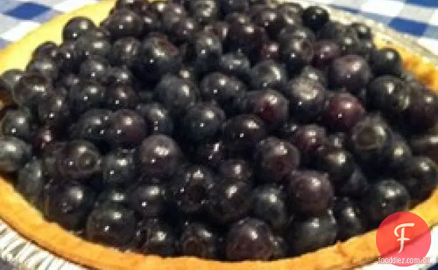 Jan's fresh blueberry Pie