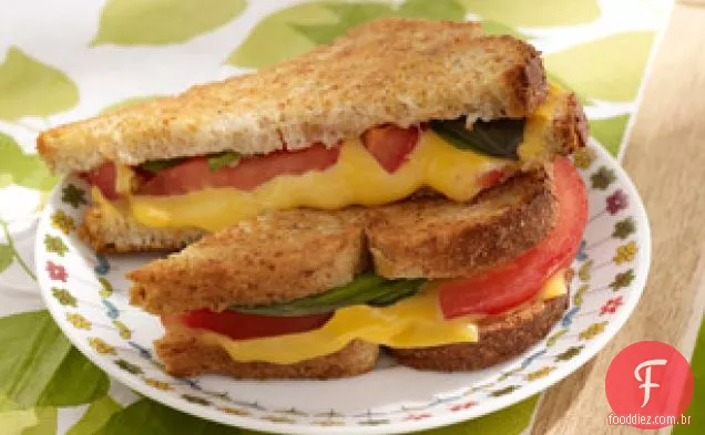 Sabor-Queijo Grelhado Completo