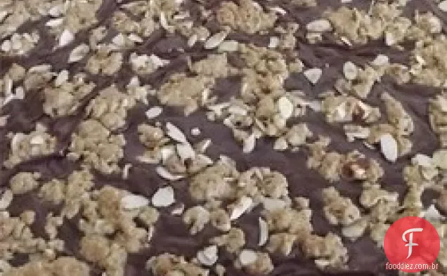 Fudge Nut Oatmeal Bars