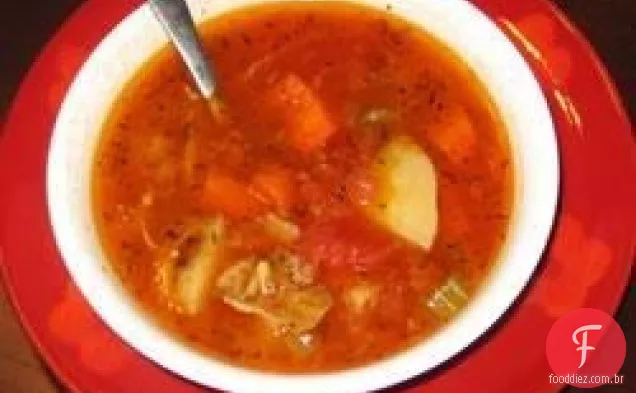 Sopa de carne vegetal II
