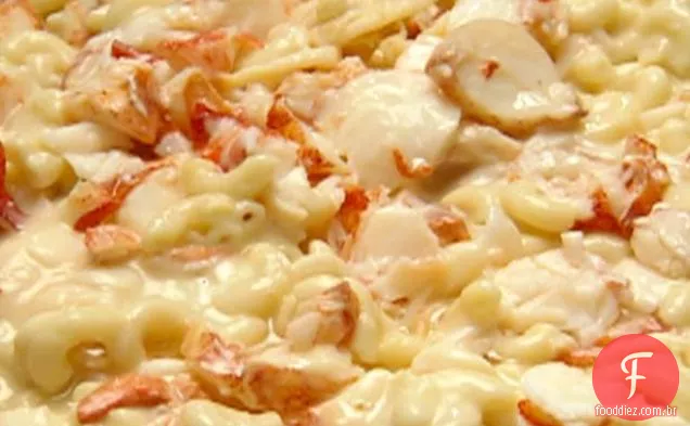 Maine lagosta macarrão queijo com óleo de Trufa