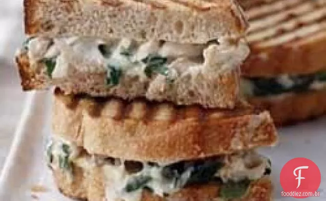 Alfredo Florentino Frango Panini
