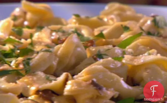 Tortellini de queijo com molho Porcini Pecorino