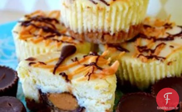 Reese's Peanut Butter Cup mini Cheesecakes