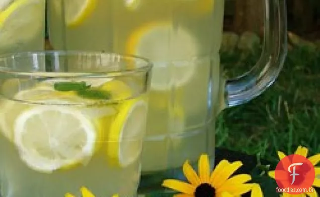 Festa Limonada
