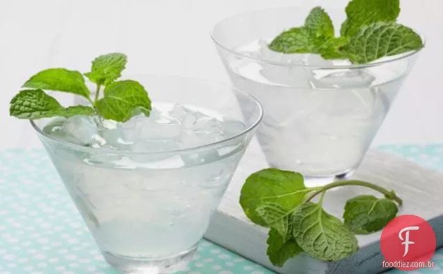 Vodka Mojito