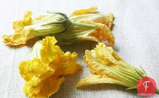 Flores de abóbora recheadas com queijo Herbed em massa Fritter