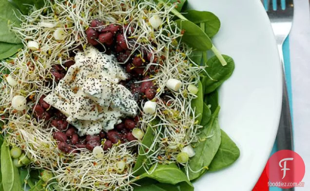 Feijão Adzuki, Queijo Gorgonzola E Brotos De Alfafa