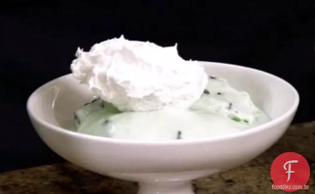 Mint Chocolate Chip Ice Cream
