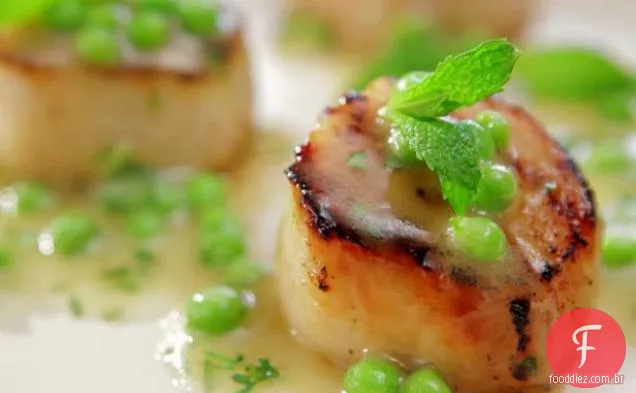 Vieiras caramelizadas com vinagrete de ervilha verde fresca