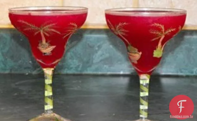 Cacto De Pera Espinhosa Margarita