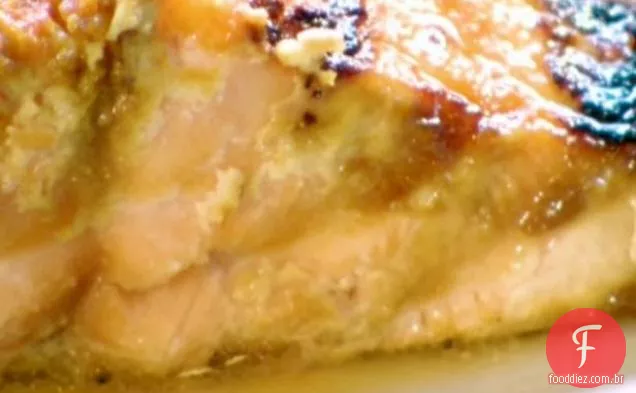 Miso Vitrificado Salmão