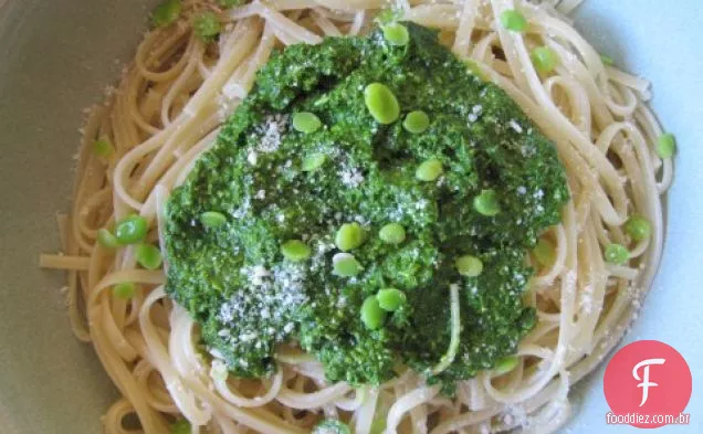 Fava Leaf Pesto