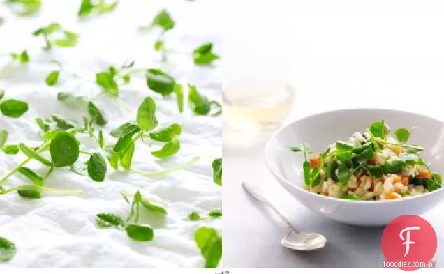 Risoto Primavera