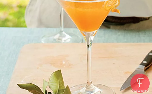 Citrus Sidecar
