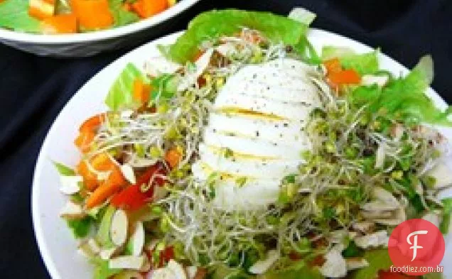 Salada ninho pássaro