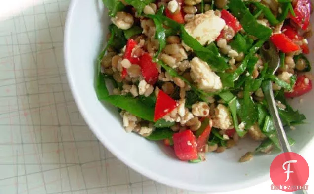 Salada De Lentilha E Cevada