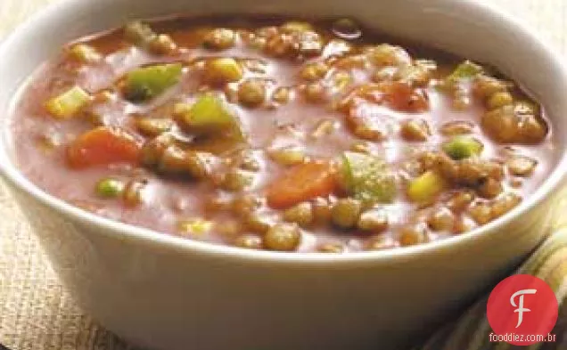 Sopa de lentilha saudável-vegetariana