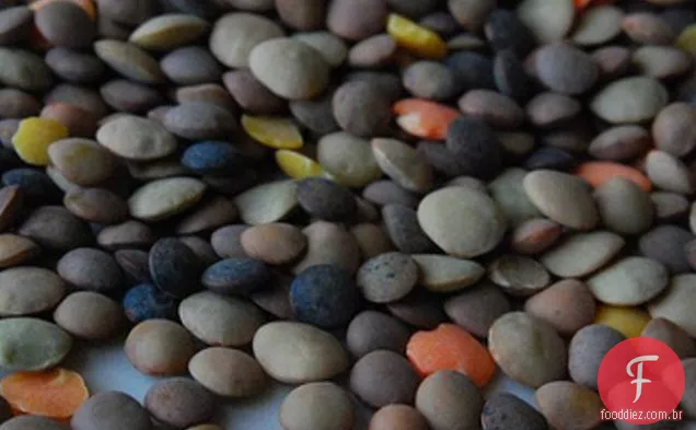 Carne Lite: Lentilha Salsicha Ragout