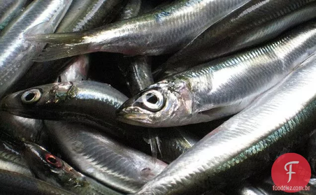 Cozinhe o planejador de festas do livro: macarrão com Sardinha