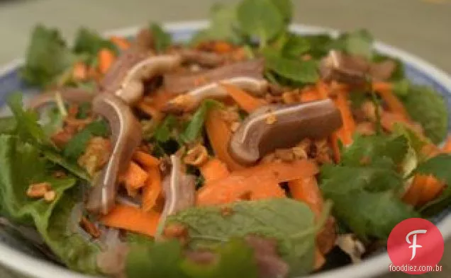 Salada Picante Da Orelha Do Porco Do Vietnamita-Estilo