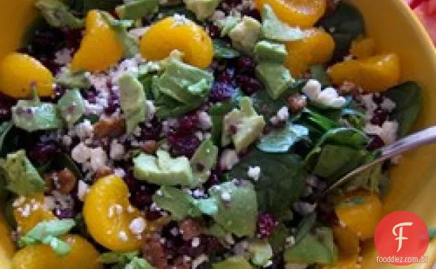 Cranberry, noz vitrificada, Laranja, abacate e salada de queijo azul
