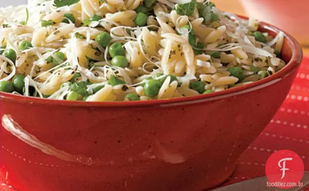Massa Parmesão Orzo