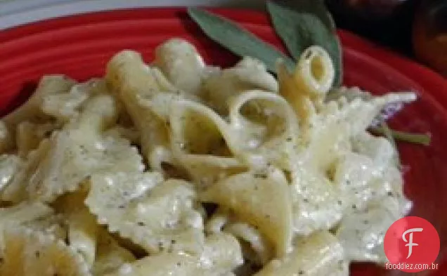Macarrão Polonês (queijo Cottage e macarrão)