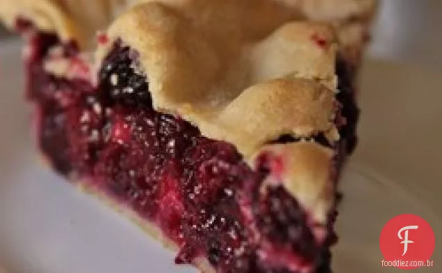 Blackberry Pie I