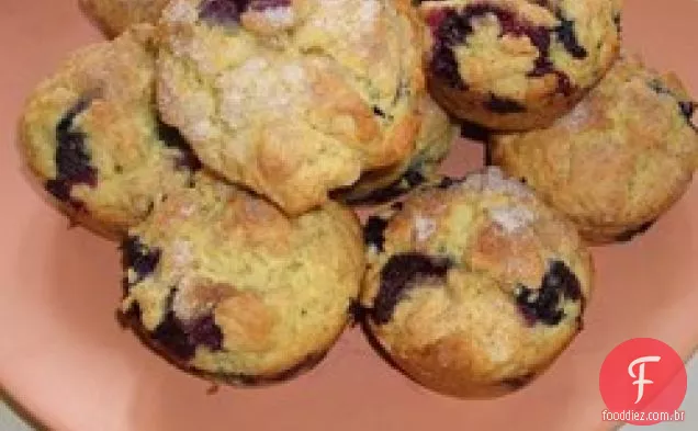 Muffins De Aveia De Mirtilo