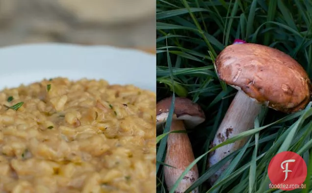 Risoto Porcini