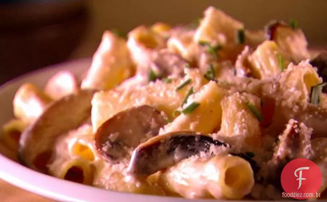 Rigatoni com molho cremoso de cogumelos